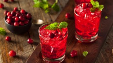 फालसे का शरबत